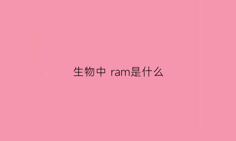 生物中 ram是什么